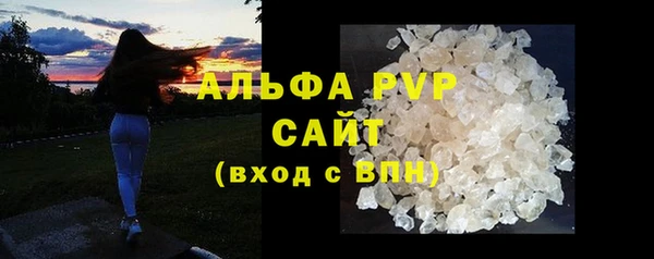 гидра Слюдянка
