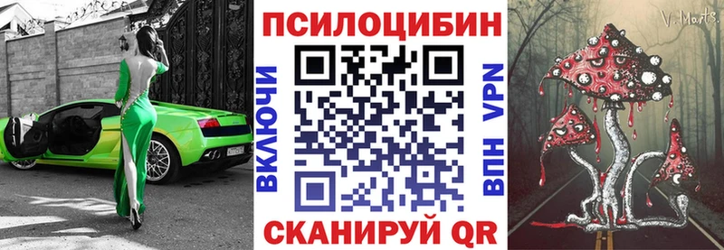 Псилоцибиновые грибы GOLDEN TEACHER  Володарск 